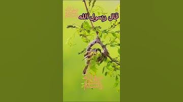 قال رسول اللهﷺ  نحن احق بالشك من ابراهيم أحاديث صحيحة .... القرآن الكريم
