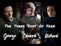 [TWQ] The Three Sons Of York || RISE UP