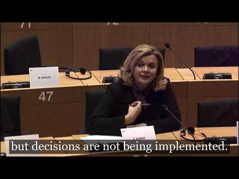 My intervention during EP Western Balkans Speakers Summit