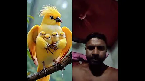 #love #beautiful #cute #nature #travel #duet #song #music #automobile