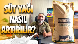 SÜT YAĞI NASIL ARTIRILIR? | BY PASS YAĞI | SÜT YAĞINI ARTIR