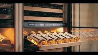 Wine Storage Fridge