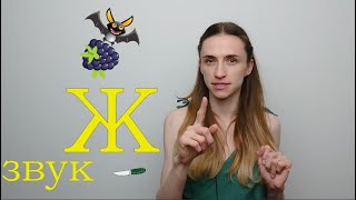 Гра ''Хованки''. Автоматизація звуку Ж в середині слова. Гра ''Хованки''. Автоматизація звуку Ж в середині слова.