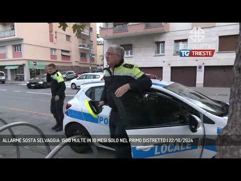 ALLARME SOSTA SELVAGGIA: 1500 MULTE IN 10 MESI SOLO NEL PRIMO DISTRETTO | 22/10/2024