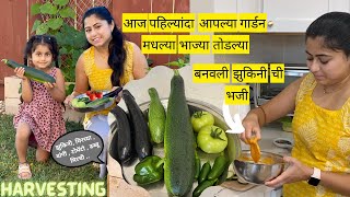 आज पहलयद गरडन मधलय भजय तडलय Vegetable Harvesting Zucchini Cooking मरठ Vlog