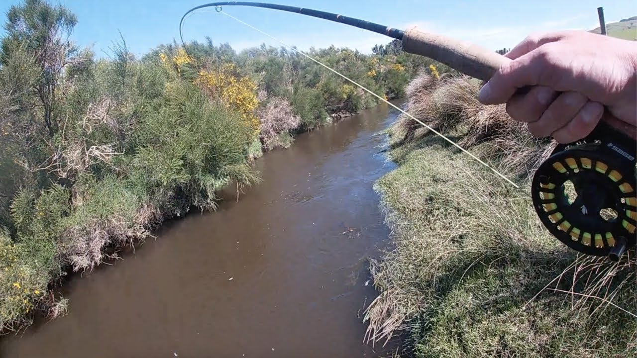 I Entered The Oldest Fly Fishing Competition In The SOUTHERN HEMISPHERE