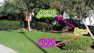 سورة الزلزلة و التكاثر يومئذ يصدر الناس أشتاتا ليروا أعمالهم