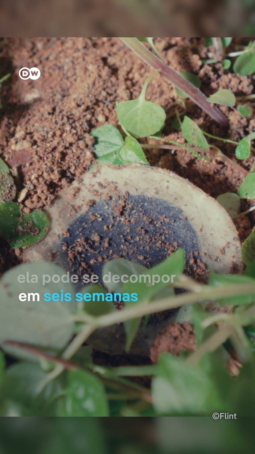 Empresa de Cingapura desenvolve baterias inovadoras baseadas em celulose