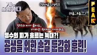 [#피크타임] 개보다 늑대에 가까운 카파? 공생을 위한 둔감화 훈련! | #개는훌륭하다 | KBS 240513 방송