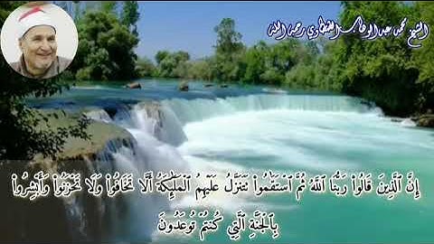 الشيخ محمد عبدالوهاب الطنطاوي رحمه الله _ مقطع رائع _ من سورة فصلت
