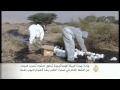 جهود إسرائيلية لاحتواء تسرب نفط