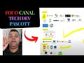 QUAL SERÁ O FOCO DO CANAL PARA OS PRÓXIMOS MESES? #JAVA #python