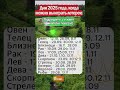 Дни 2025 года, когда все проблемы уйдут!