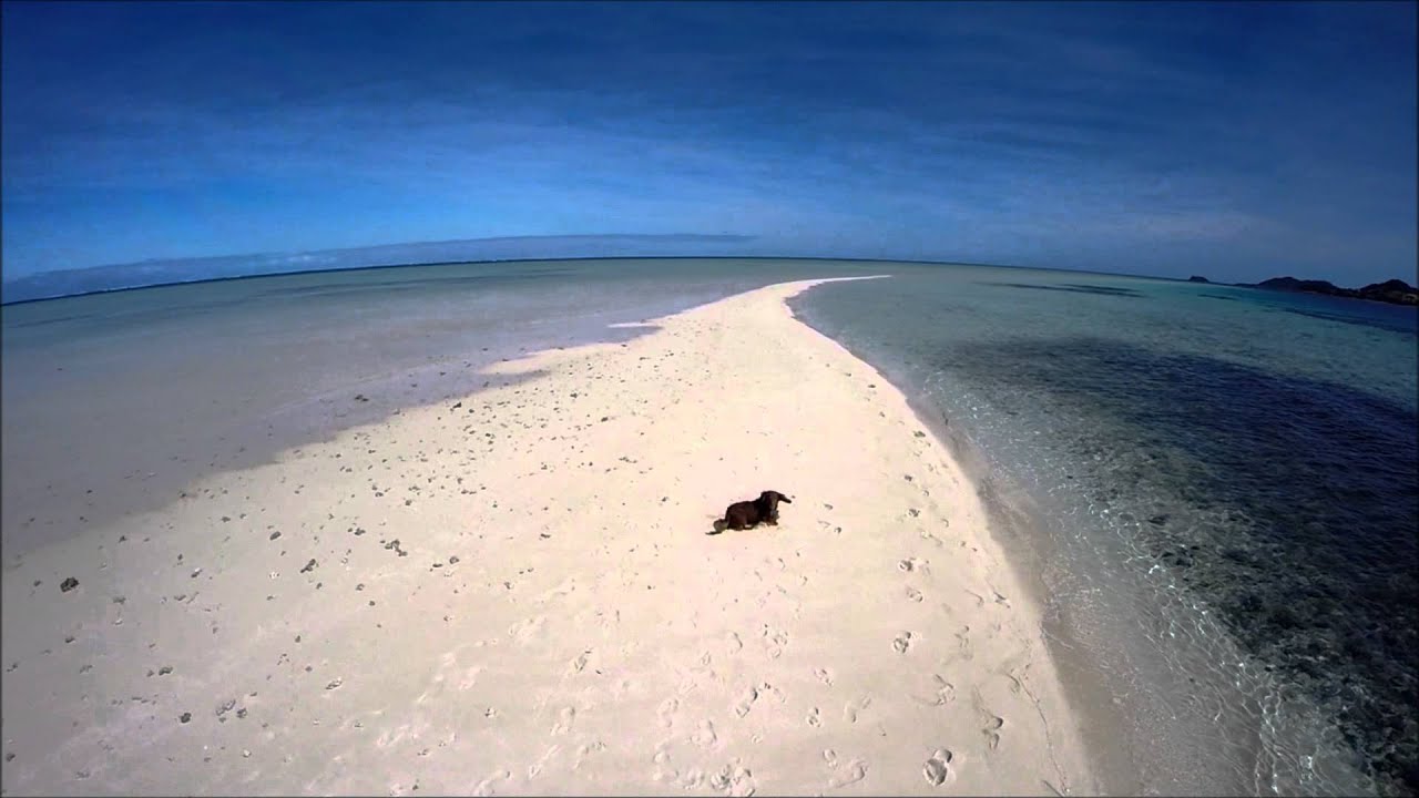 Vienna Sand Spit Crab Hunter - Captain Kurt
