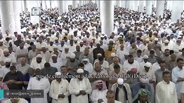 صلاة التراويح للشيخ خالد المهنا من المسجد النبوي ليلة 20 رمضان 1438"تلاوة العنكبوت46-لقمان11