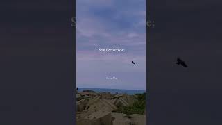 En Sevdiğini Yorumlara Yazmayı Unutma (Abone Olmayı Unutmayın 😊) Resimi