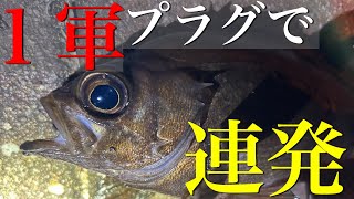 【メバリング】巻くだけで釣れる？シンキングペンシルで狙うメバルプラッキング！