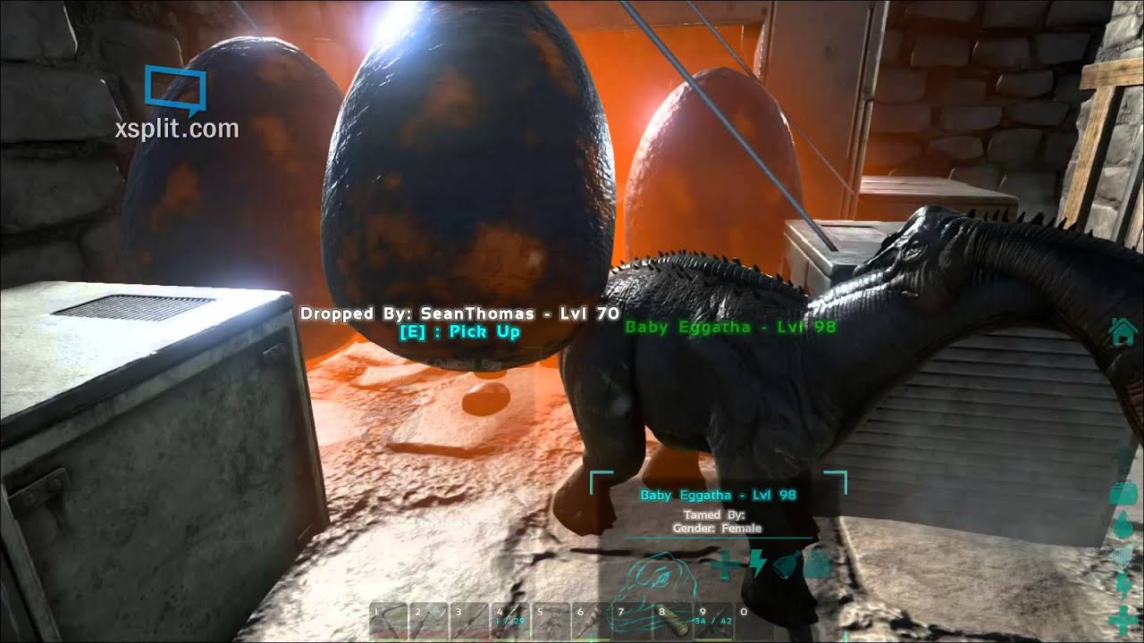 Ark survival evolved egg incubator