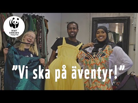 Video: Vilka är De Bästa Tiderna På året Att Besöka Hawaii?