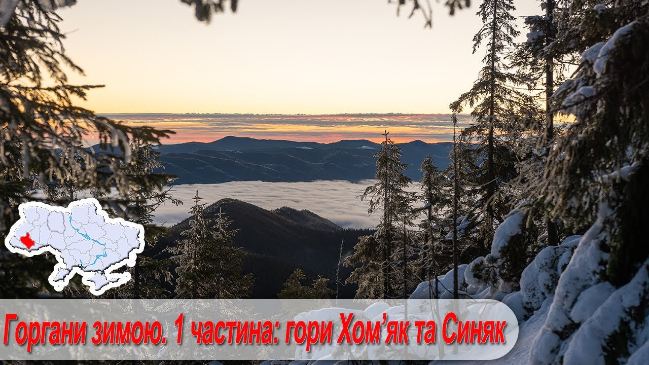 Горгани зимою. 1 частина:  Гори Хом'як та Синяк