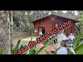 casa do zero sozinho #construindo minha casa sozinho #construções remotas