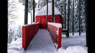Treehotel Room The Blue Cone
