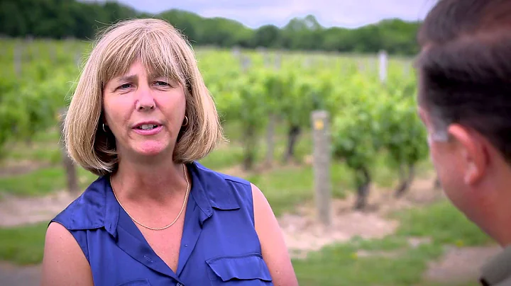 Interview with Ruth Osborn of Fox Run Vineyards