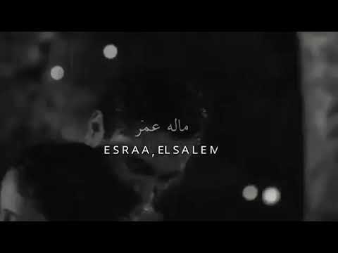 قد المطر وكثر شجر حبي الك ماله عمر