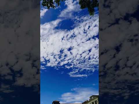 can You Believe This Sky Is Rea?l ☁️ #shorts