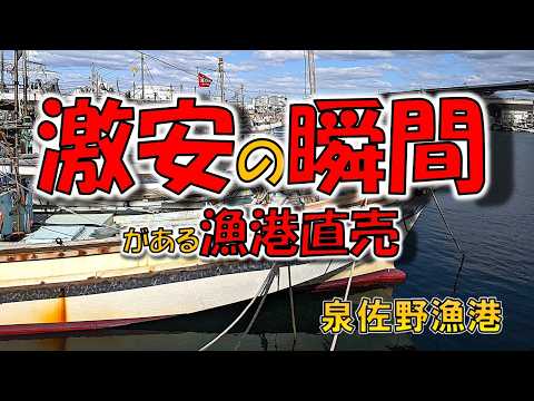 3月14日（土曜日）泉佐野漁港　知っている人だけが買える秘密の時間帯！朝一番の開店時間じゃなかった！Σ(･ω･ﾉ)ﾉ新鮮な魚を安く買える時間が存在した！のサムネイル