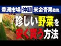 飲食店の野菜の仕入れ!豊洲市場・青果棟で仲卸から購入する方法とは