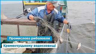 картинка: Промислова риболовля на Кременчуцькому водосховищі у 2022