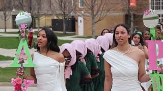 Alpha Kappa Alpha Sorority, Inc. Spring 2025 Probate | Bowling Green State University | Iota Iota