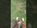 Thought I lost it