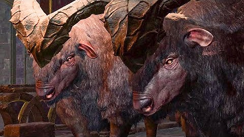 Yes... Developers actually wrote this dialogue in Baldur