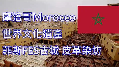 摩洛哥Morocco世界文化遺產UNESCO菲斯Fes古城皮革染坊