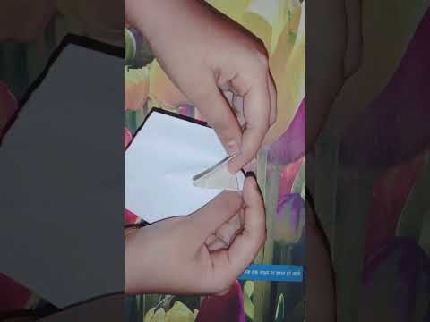 Peacock Origami Rani Art And Craft 