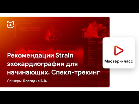 Рекомендации Strain эхокардиографии для начинающих. Спекл-трекинг. Благодир Б.В.
