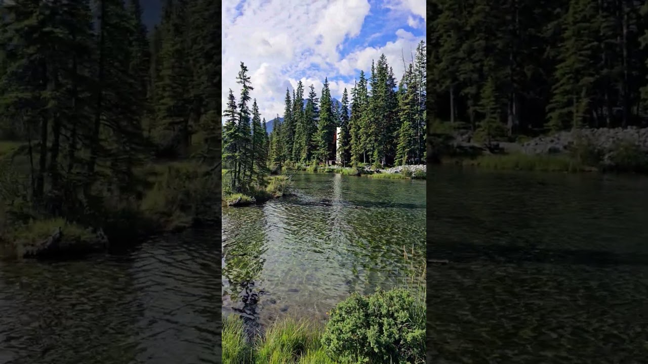 Policeman's Creek boardwalk, Canmore, Alta.