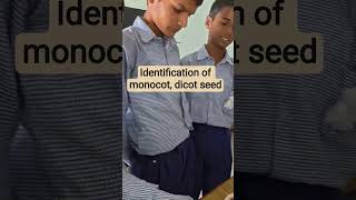 activity # learning by doing# school # students # ytshorts