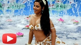 Y Vidya Balan To Do Another Biopic After The Dirty Picture Hd