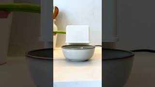 Robito Vaina Baby es un pelador de habas pequeño tamaño - Pelamatic SL #satisfying #food