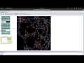 Changes on and of a network demo with NetLogo