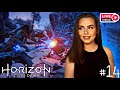 Horizon Zero Dawn #14 — Последняя глава: финал истории и DLC The Frozen Wilds! | Стрим