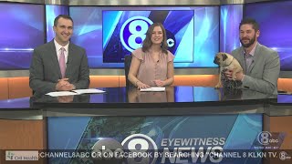 Midday Interview: Capital Humane Society (Missy)