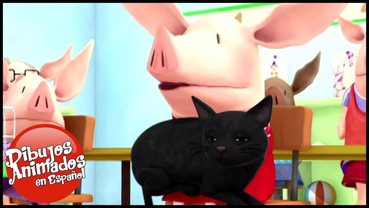 Olivia the pig en español | Olivia entrena a su gato - Capítulos completos | Dibujos Animados