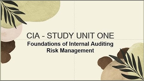 CIA Foundation of Internal Auditing Part 4