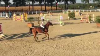 Kongsberg In Montfort