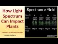 How light spectrum can impact plants collaboration with shane torpey from migro