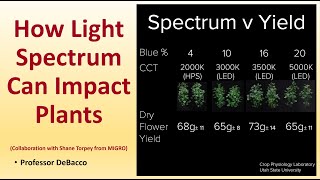 How Light Spectrum Can Impact Plants (Collaboration with Shane Torpey from MIGRO)